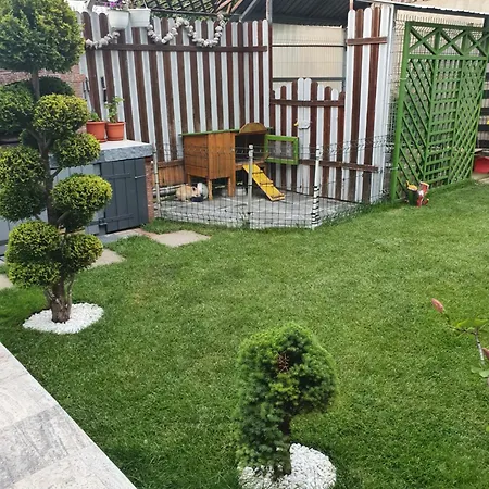 Alex Holiday home